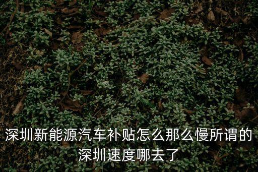深圳新能源汽車補貼怎么那么慢所謂的深圳速度哪去了