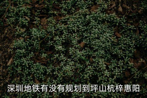 深圳地鐵有沒有規劃到坪山杭梓惠陽