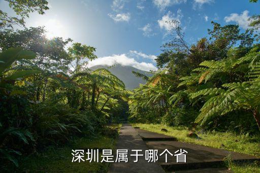 深圳所在省市區，深圳在哪個省