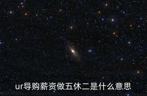 ur導(dǎo)購(gòu)薪資做五休二是什么意思