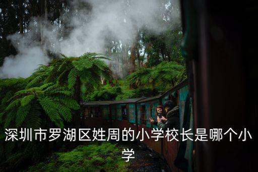深圳羅湖區福林小學校長，在青島福林小學的校長是誰
