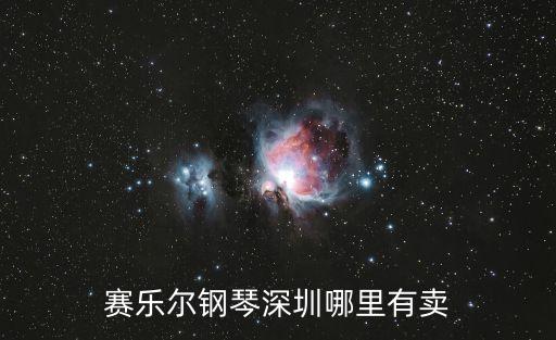 賽樂爾鋼琴深圳哪里有賣