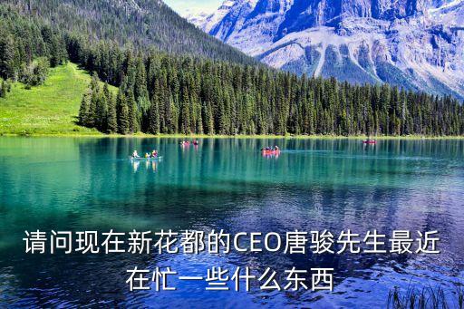 請問現在新花都的CEO唐駿先生最近在忙一些什么東西