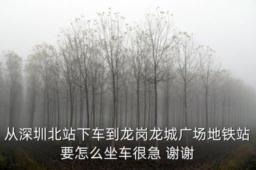 深圳北站到龍崗龍城廣場怎么走，深圳北站到龍城廣場地鐵站怎么坐車