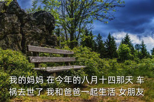 2017深圳8月14號車禍，14號發(fā)生車禍 事發(fā)當天 對方除了2根手指有骨裂之外