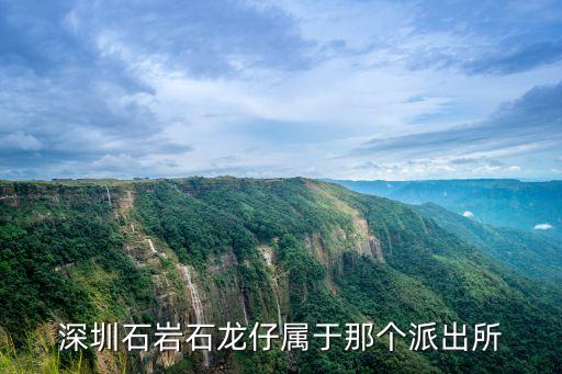 深圳石龍仔警察局，深圳石巖石龍仔屬于那個派出所