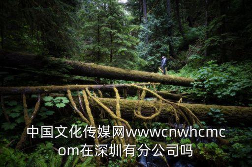 深圳擴容中央二臺視頻，中國文化傳媒網wwwcnwhcmcom在深圳有分公司嗎