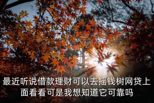 最近聽說借款理財可以去搖錢樹網(wǎng)貸上面看看可是我想知道它可靠嗎