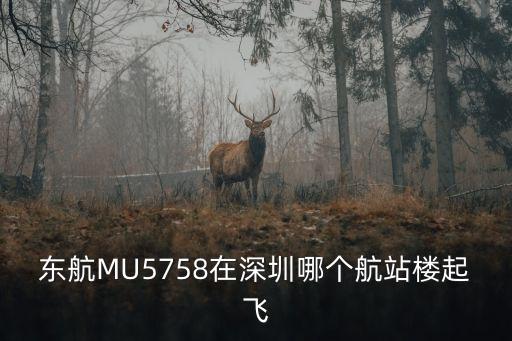 東航MU5758在深圳哪個航站樓起飛