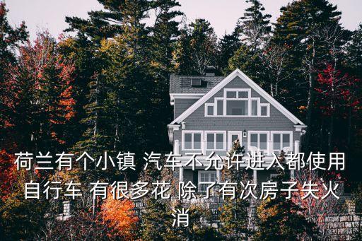 荷蘭有個小鎮 汽車不允許進入都使用自行車 有很多花 除了有次房子失火消