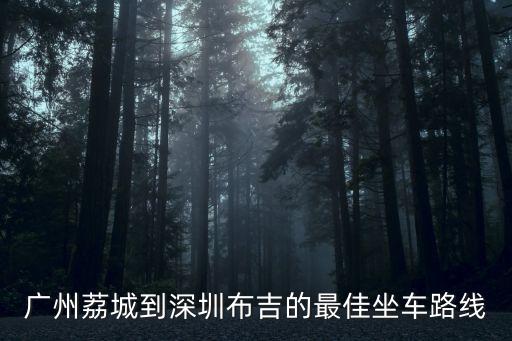 廣州到深圳布吉怎么走最好，我想從廣州到深圳布吉 怎么坐車