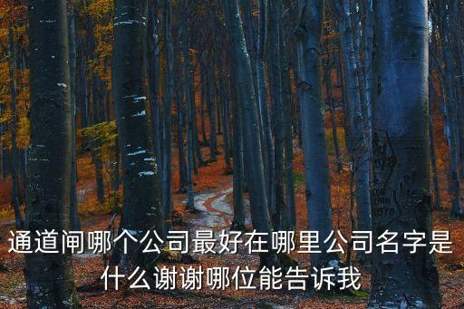 通道閘哪個公司最好在哪里公司名字是什么謝謝哪位能告訴我