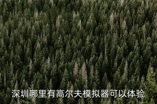 深圳哪里有高爾夫模擬器可以體驗