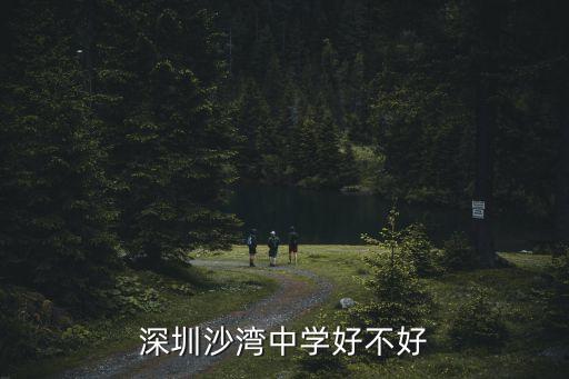 深圳沙灣中學有沒有重點班，深圳沙灣中學是重點嗎