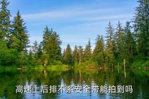 高速上后排不系安全帶能拍到嗎