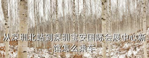 從深圳北站到深圳寶安國際會展中心新館怎么乘車