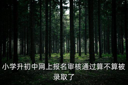 深圳小升初初審通過是不是就錄取了，深圳申請學位初審通過是不是沒問題了