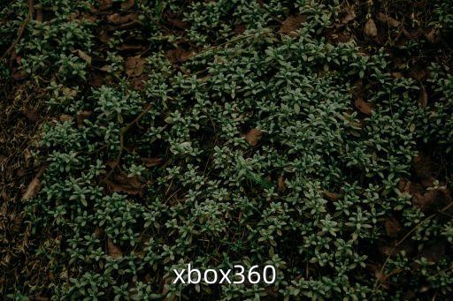 xbox360