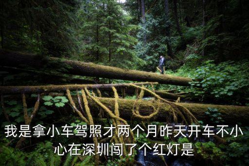 我是拿小車駕照才兩個月昨天開車不小心在深圳闖了個紅燈是