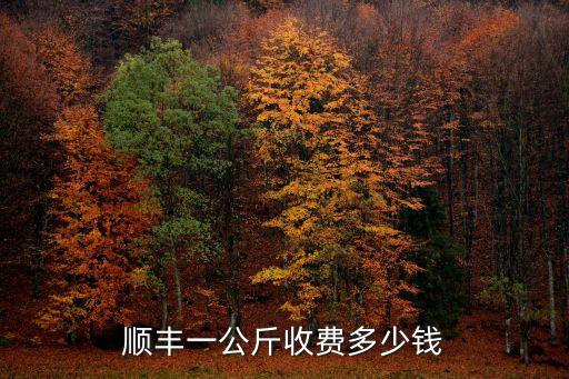 順豐一公斤收費多少錢