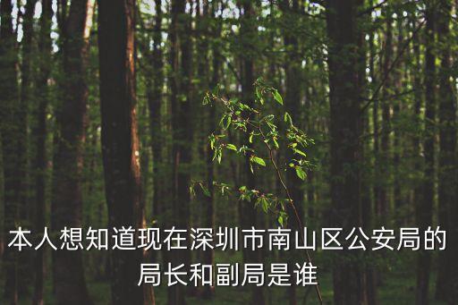 本人想知道現在深圳市南山區公安局的局長和副局是誰