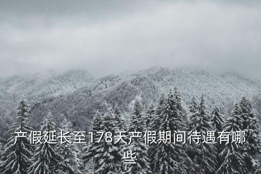 產假延長至178天產假期間待遇有哪些