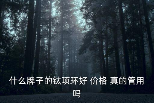 什么牌子的鈦項環好 價格 真的管用嗎