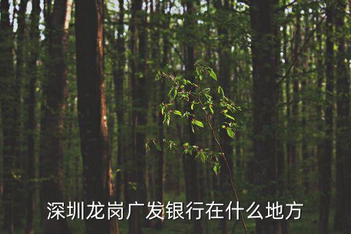 深圳市龍崗區廣發銀行在什么位置，離龍崗沙灣最近的廣發銀行在哪里