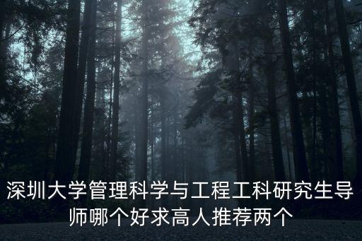 深圳大學管理科學與工程工科研究生導師哪個好求高人推薦兩個