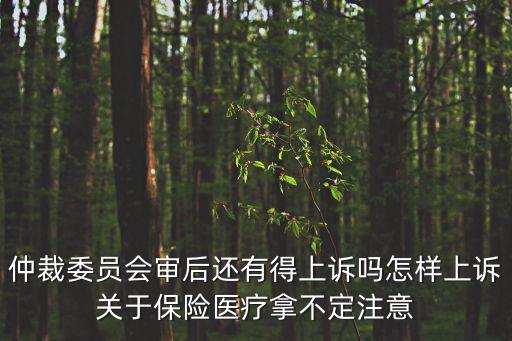仲裁委員會審后還有得上訴嗎怎樣上訴關于保險醫療拿不定注意