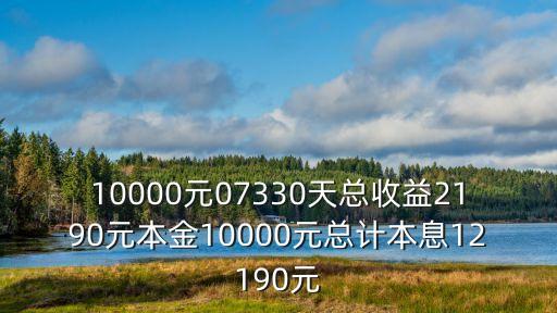 深圳中安投資app，10000元07330天總收益2190元本金10000元總計本息12190元