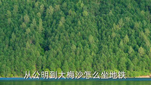 從公明到大梅沙怎么坐地鐵