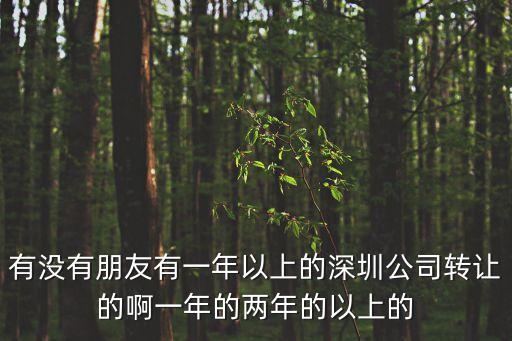 有沒有朋友有一年以上的深圳公司轉(zhuǎn)讓的啊一年的兩年的以上的