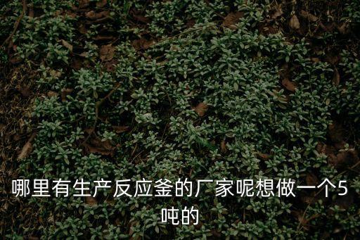 哪里有生產反應釜的廠家呢想做一個5噸的