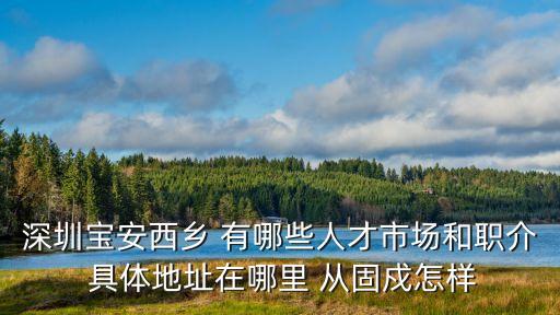 2020深圳12歲女單精英組，虎門太平到深圳觀瀾怎樣走啊