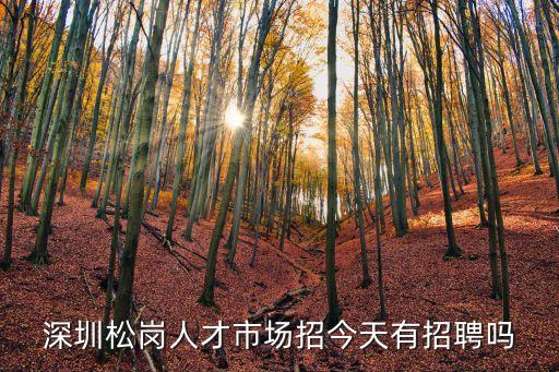 深圳松崗人才市場招今天有招聘嗎