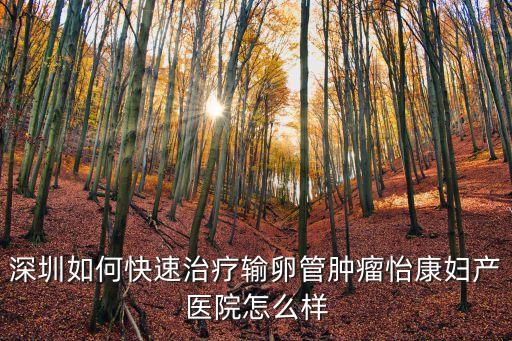深圳如何快速治療輸卵管腫瘤怡康婦產(chǎn)醫(yī)院怎么樣