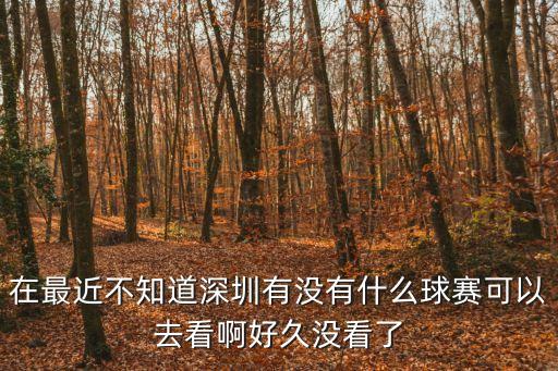 在最近不知道深圳有沒有什么球賽可以去看啊好久沒看了