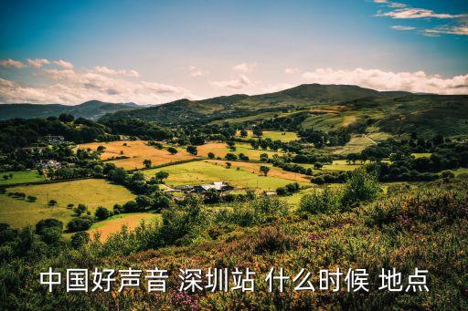 中國好聲音 深圳站 什么時候 地點