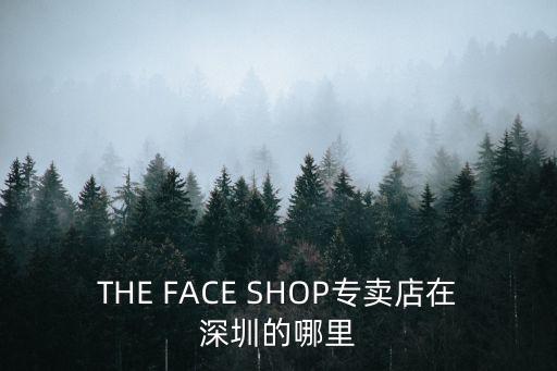THE FACE SHOP專賣店在深圳的哪里
