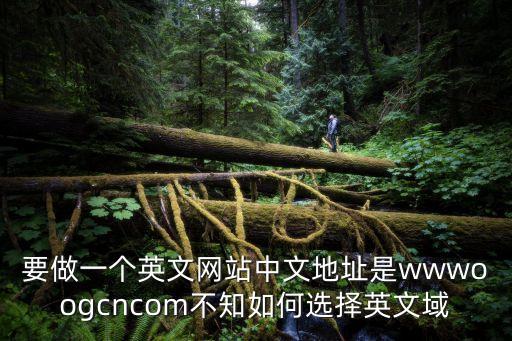 要做一個英文網(wǎng)站中文地址是wwwoogcncom不知如何選擇英文域