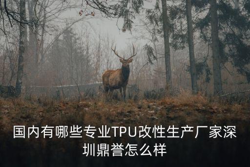 鼎譽(yù) 深圳有限公司怎么樣，國(guó)內(nèi)有哪些專業(yè)TPU改性生產(chǎn)廠家深圳鼎譽(yù)怎么樣