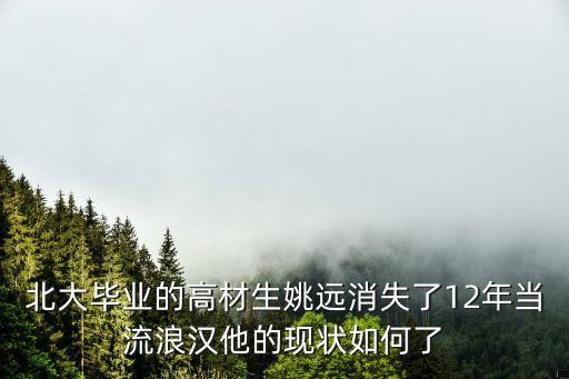 深圳流浪街頭的高材生，北大畢業(yè)的高材生姚遠(yuǎn)消失了12年當(dāng)流浪漢他的現(xiàn)狀如何了