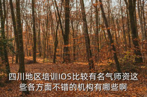 四川地區培訓IOS比較有名氣師資這些各方面不錯的機構有哪些啊
