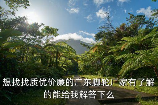 想找找質(zhì)優(yōu)價(jià)廉的廣東腳輪廠家有了解的能給我解答下么