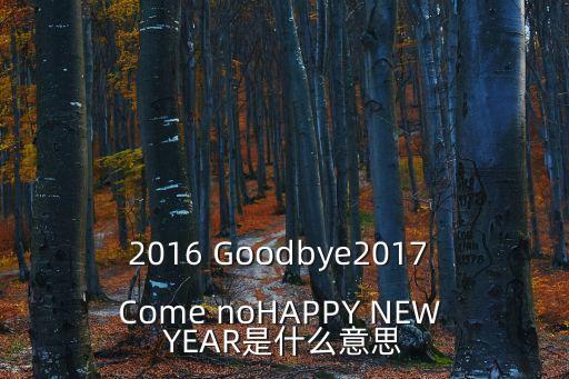 2016 Goodbye2017 Come noHAPPY NEW YEAR是什么意思