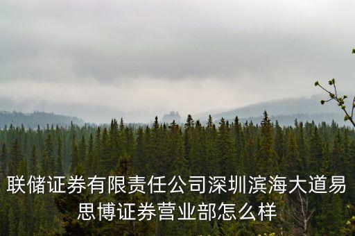 聯儲證券有限責任公司深圳濱海大道易思博證券營業部怎么樣