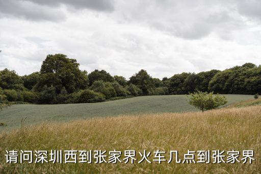 深圳到張家界火車站坐哪個(gè)站，從深圳火車站到張家界坐哪趟車可直達(dá)