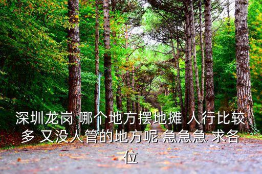 深圳龍崗 哪個地方擺地攤 人行比較多 又沒人管的地方呢 急急急 求各位