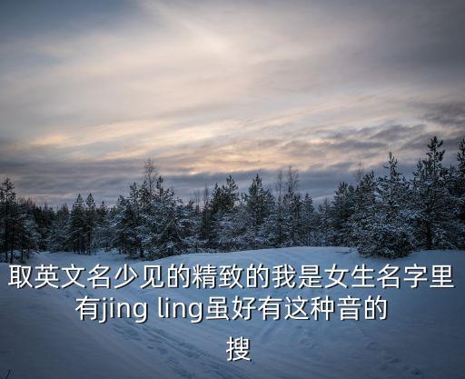 取英文名少見的精致的我是女生名字里有jing ling雖好有這種音的  搜